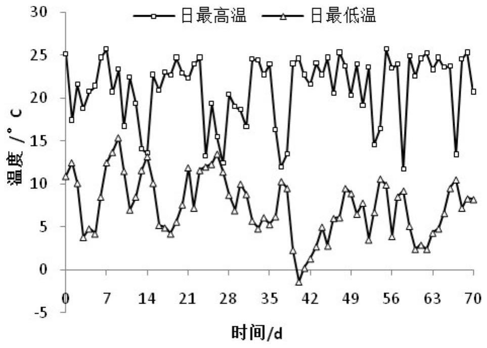 A method for evaluating the cold resistance of Anthurium anthurium in flowering stage