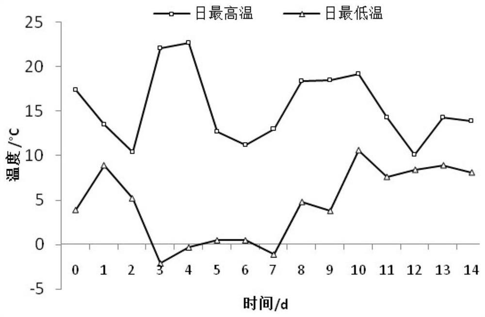 A method for evaluating the cold resistance of Anthurium anthurium in flowering stage