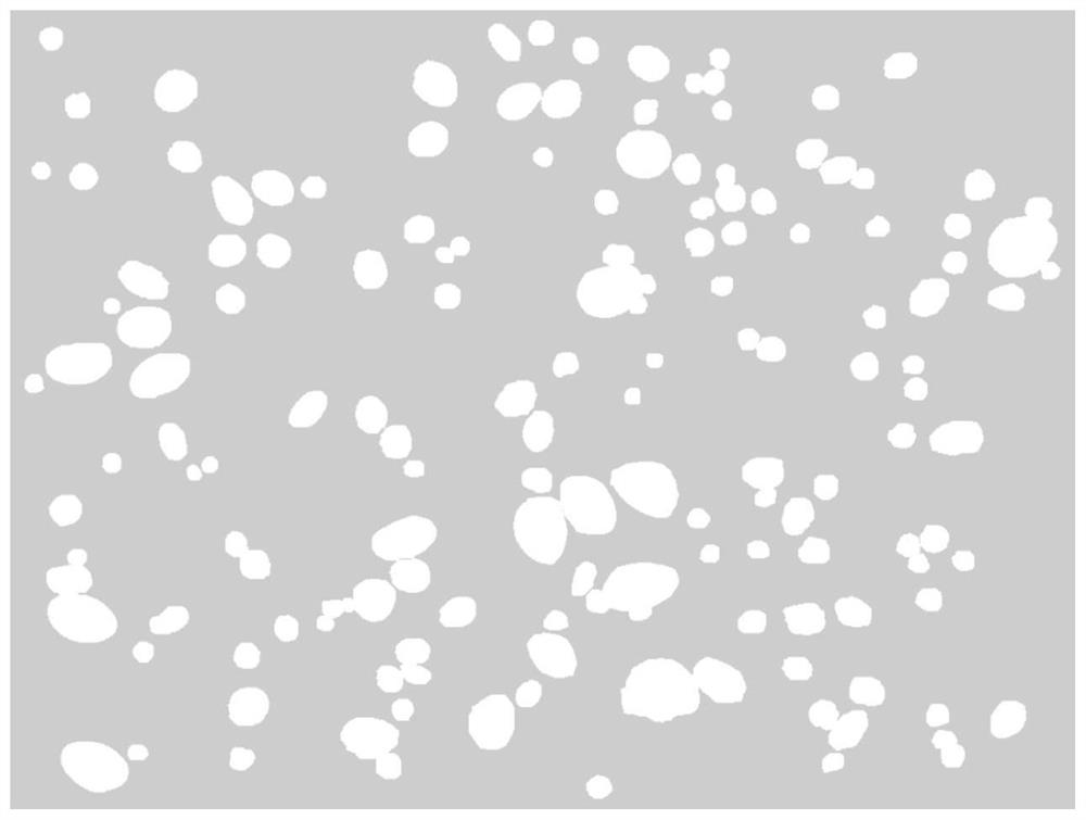 Starch particle identification method based on Mask R-CNN