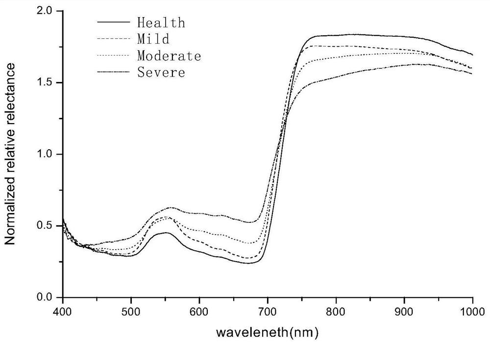 An automatic analysis method for wheat powdery mildew disease severity in the middle and late stage