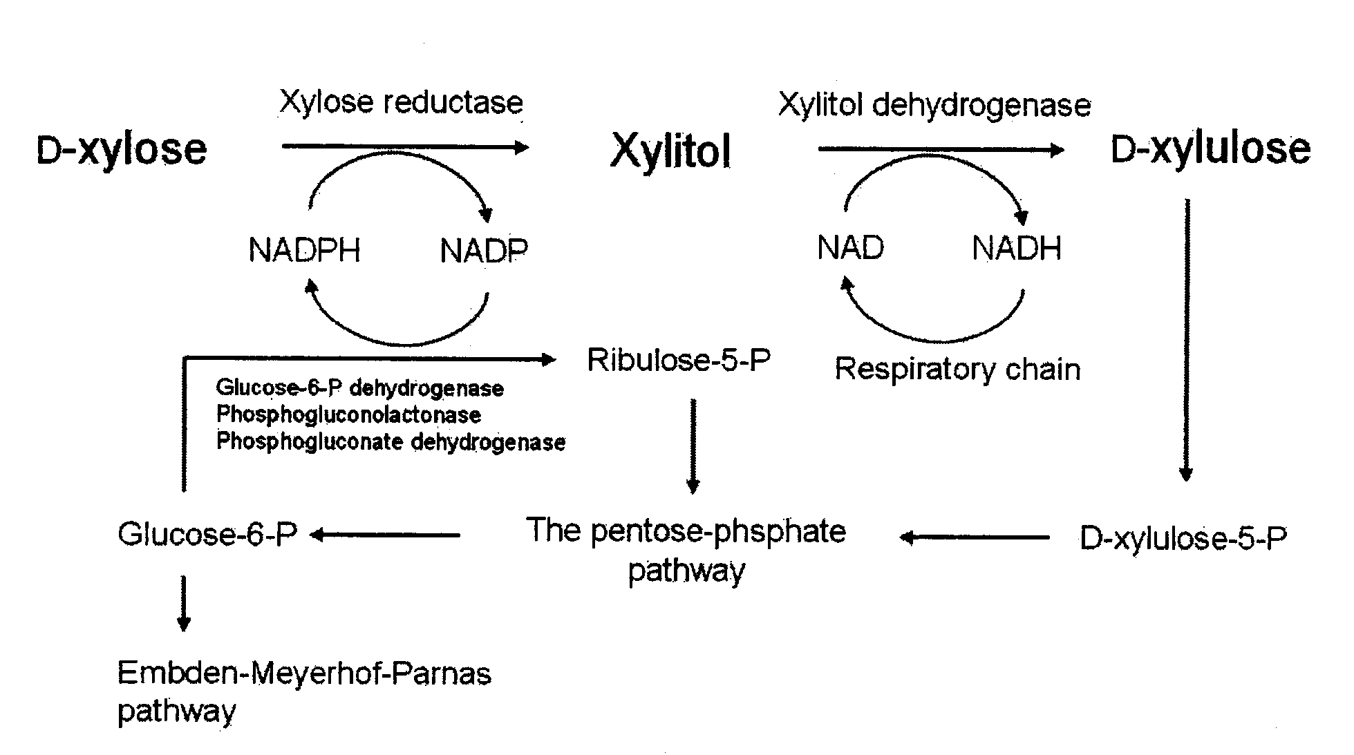 Method for Manufacturing Xylitol with High-Yield and High-Productivity