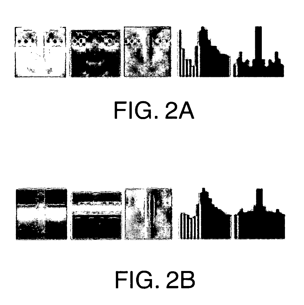 Face detection method and apparatus