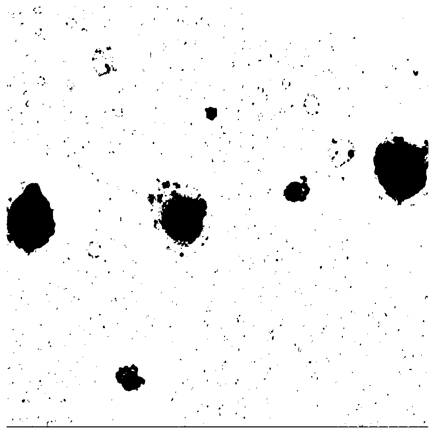 Nano-composite for early diagnosis and treatment of gastric cancer and preparation method of nano-composite