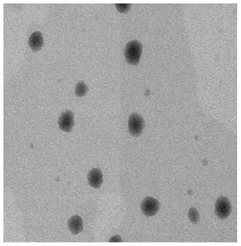 Nano-composite for early diagnosis and treatment of gastric cancer and preparation method of nano-composite