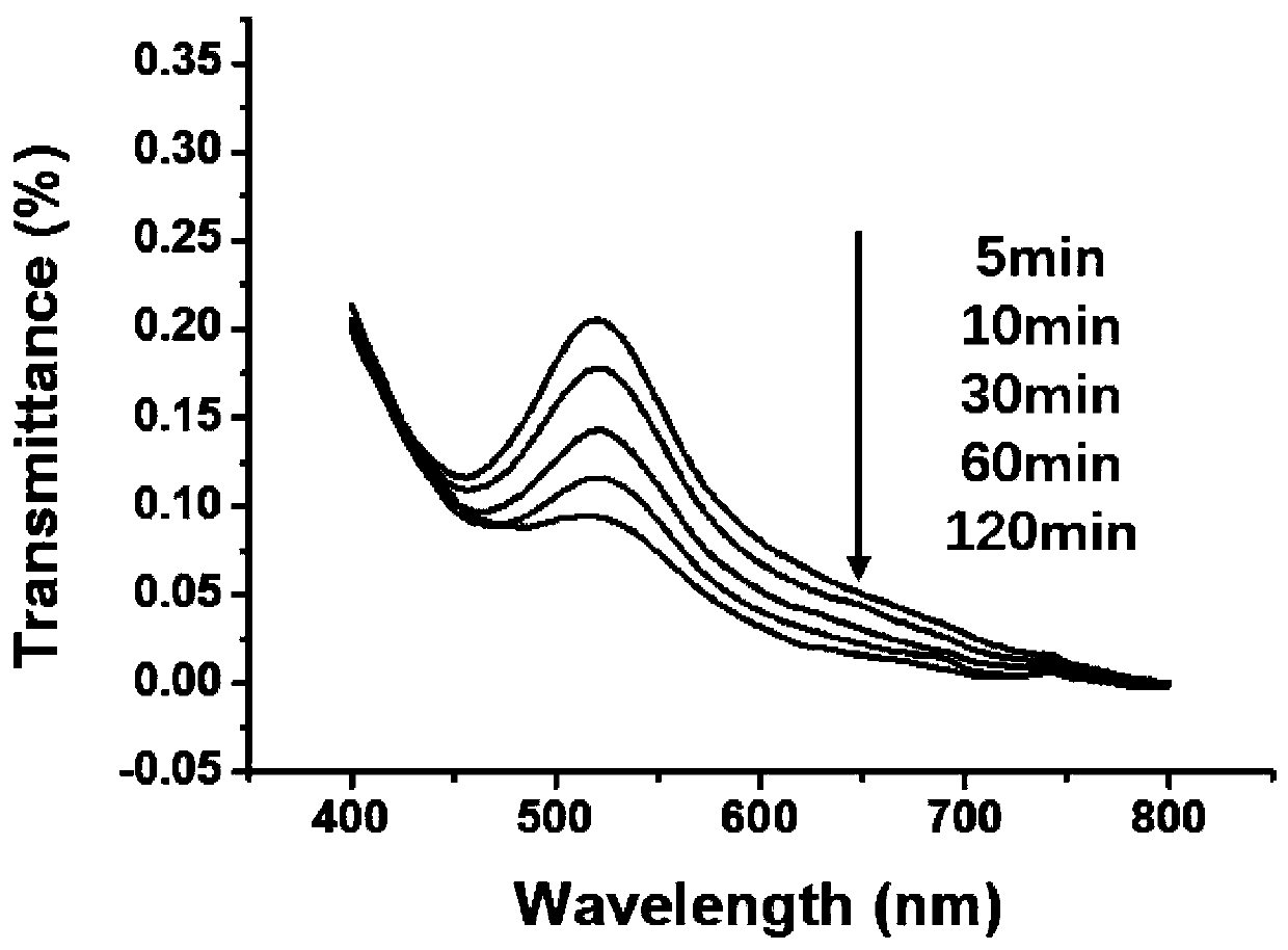 Preparation method of high-strength antioxidation chitosan/polydopamine composite hydrogel