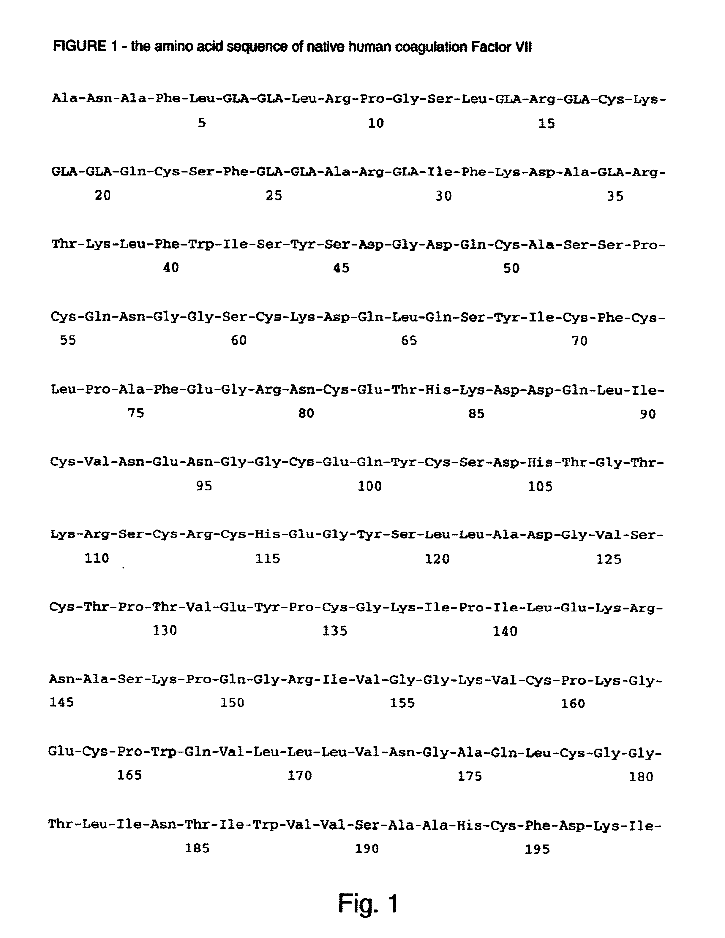 Human coagulation factor VII polypeptides