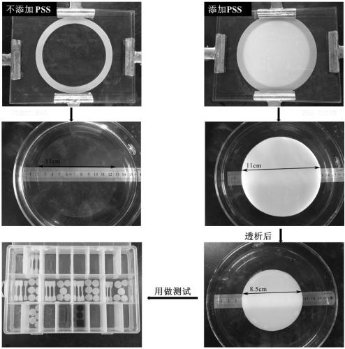 Bionic cartilago articularis polyion complex hydrogel and preparation method thereof