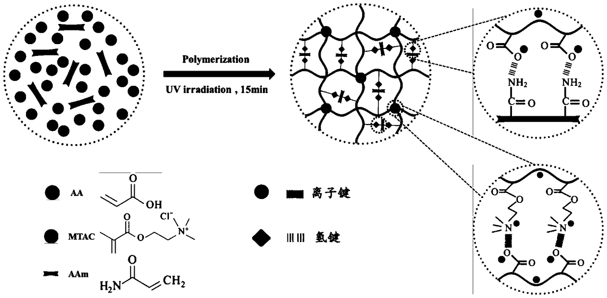 Bionic cartilago articularis polyion complex hydrogel and preparation method thereof