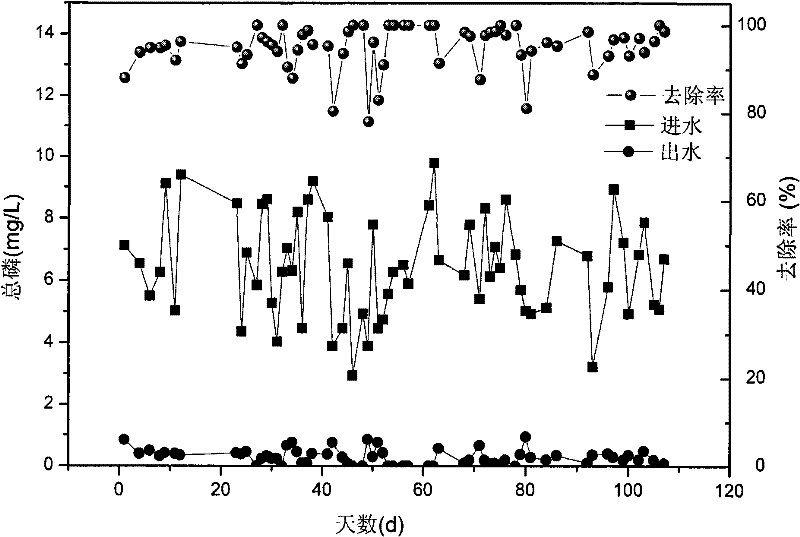 Device for improving advanced nitrogen and phosphorus removal by step feed and method