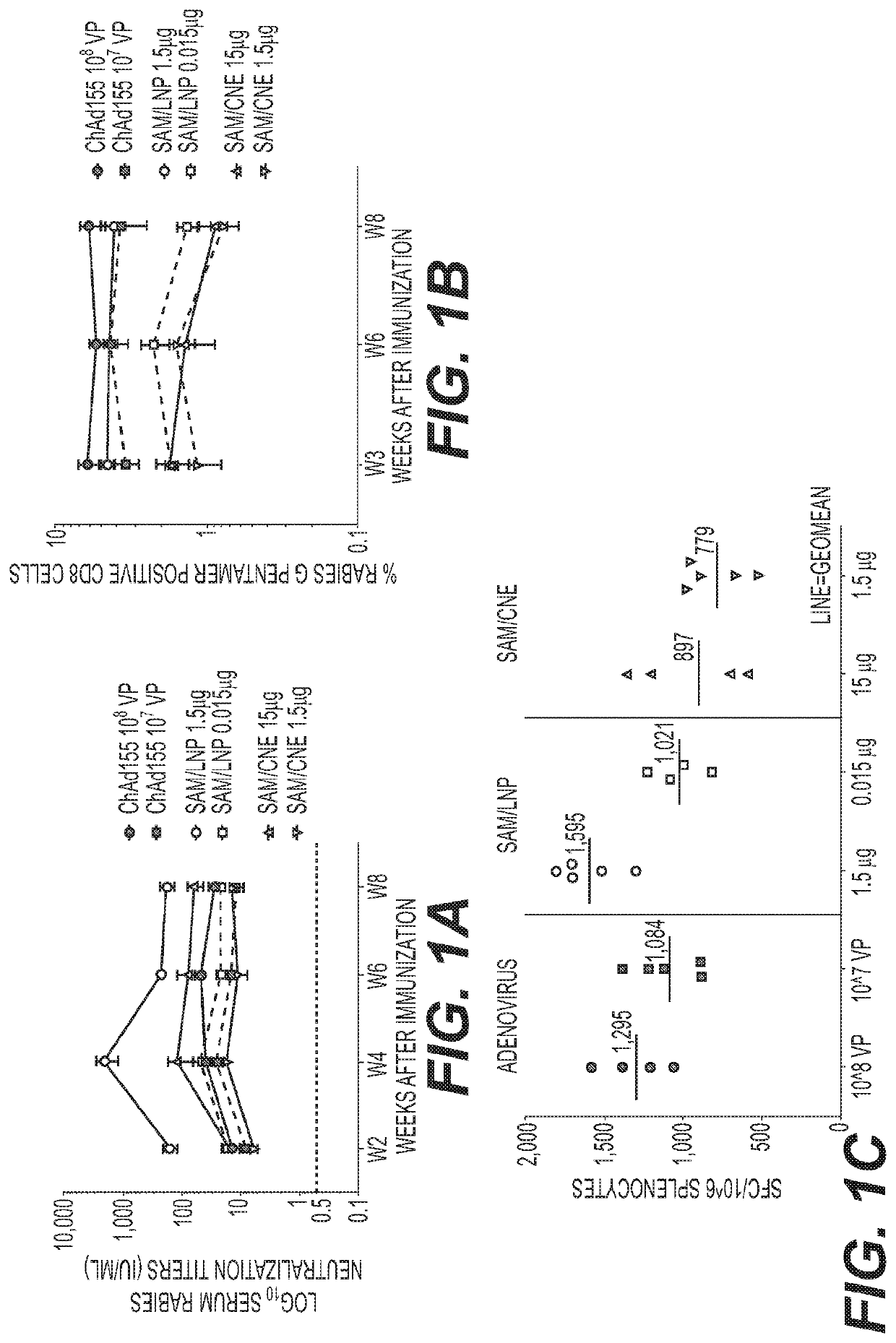 Heterologous prime boost vaccine compositions and methods