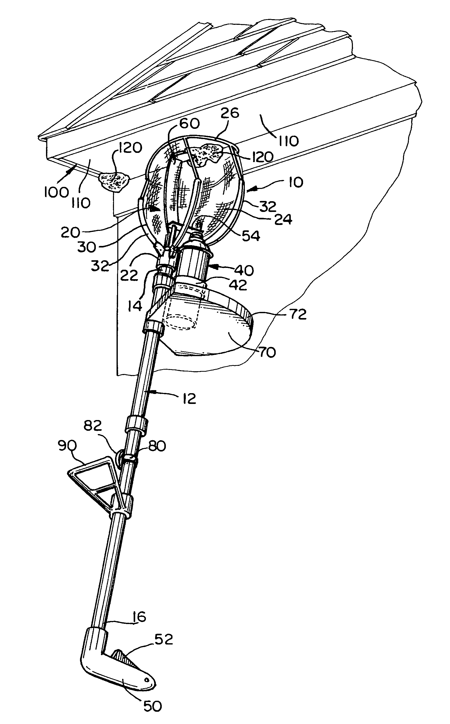 Insect and nest removal device