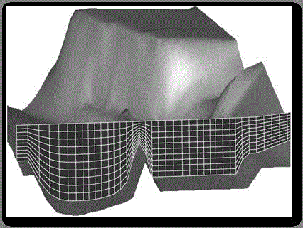 Three-dimensional streamline dynamic visualization algorithm facing irregular ocean flow field data