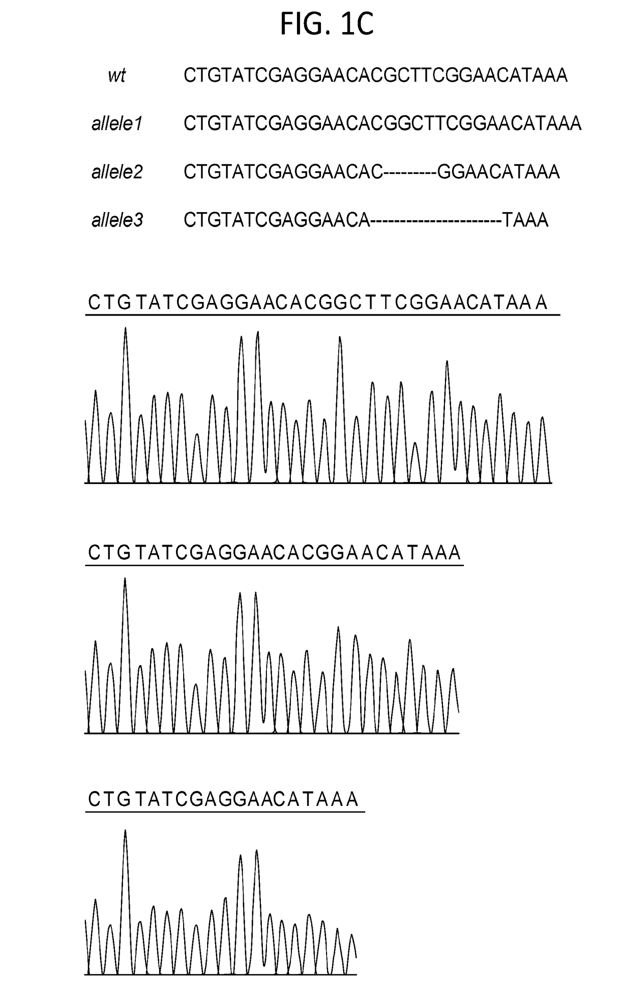 Triple transgenic pigs suitable for xenograft