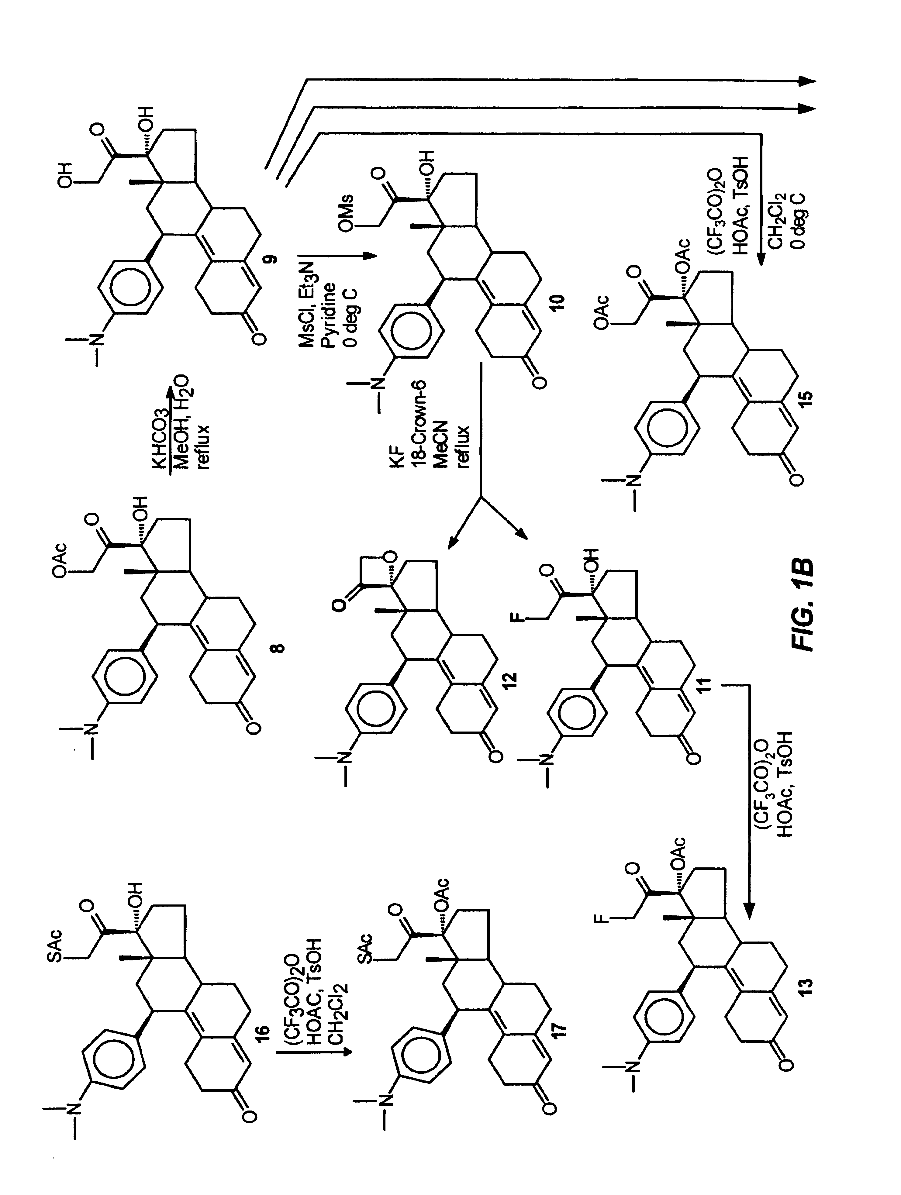 Structural modification of 19-norprogesterone I: 17-α-substituted-11-β-substituted-4-aryl and 21-substituted 19-norpregnadienedione as new antiprogestational agents