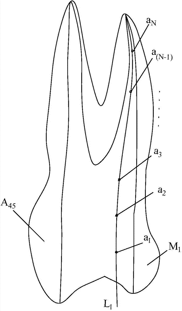 Root canal preparation effect detection method and device in stomatology teaching