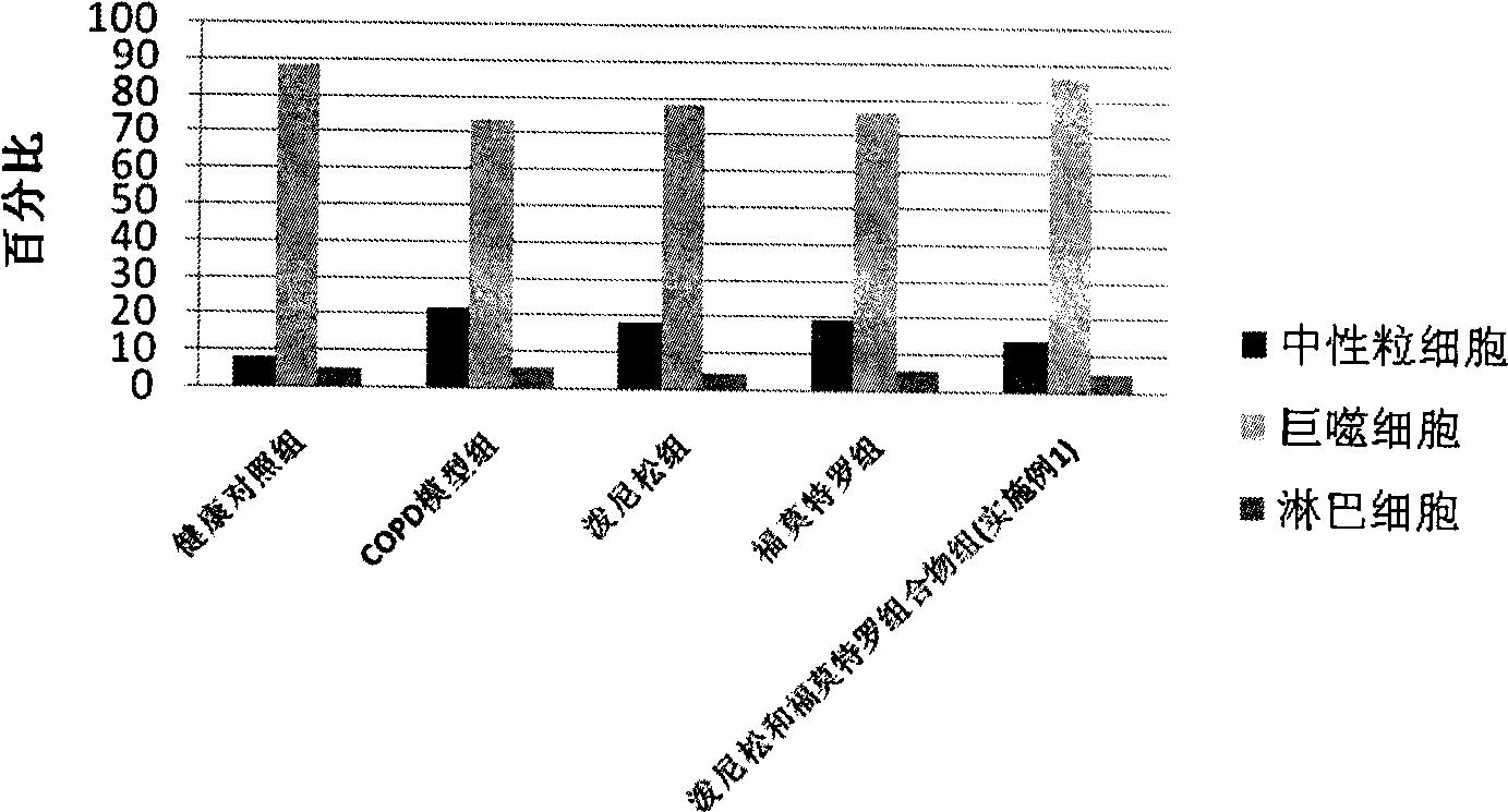 Pharmaceutical composition for the treatment of chronic obstructive pulmonary disease and bronchial asthma