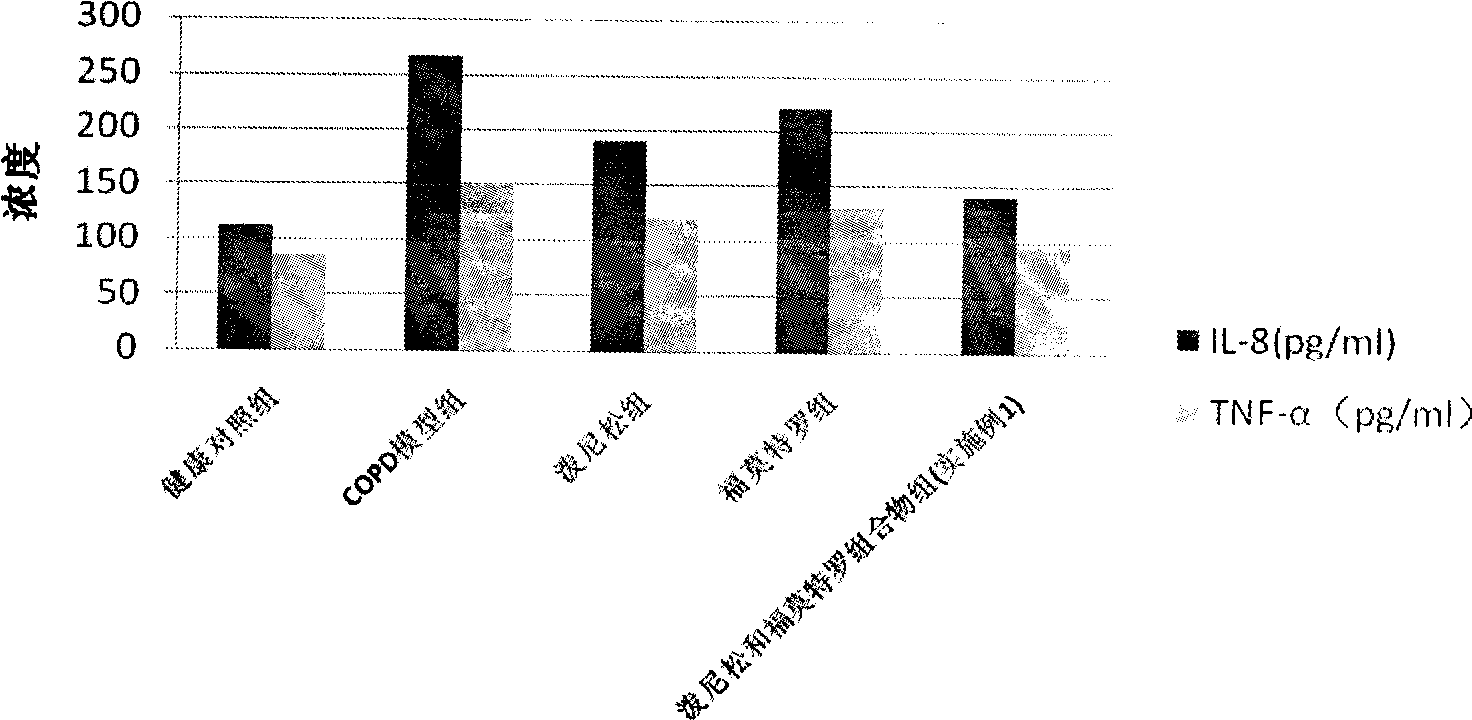 Pharmaceutical composition for the treatment of chronic obstructive pulmonary disease and bronchial asthma