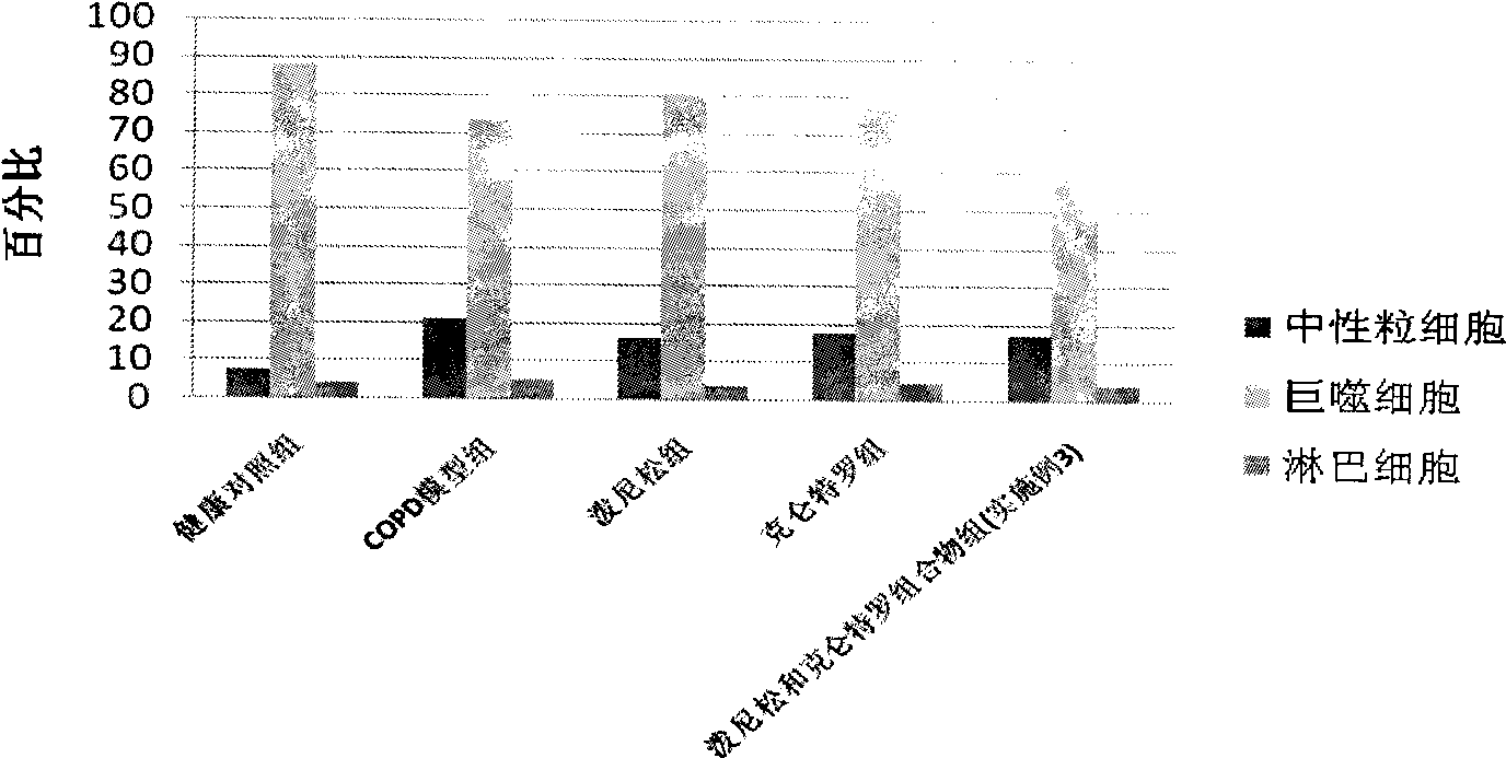 Pharmaceutical composition for the treatment of chronic obstructive pulmonary disease and bronchial asthma