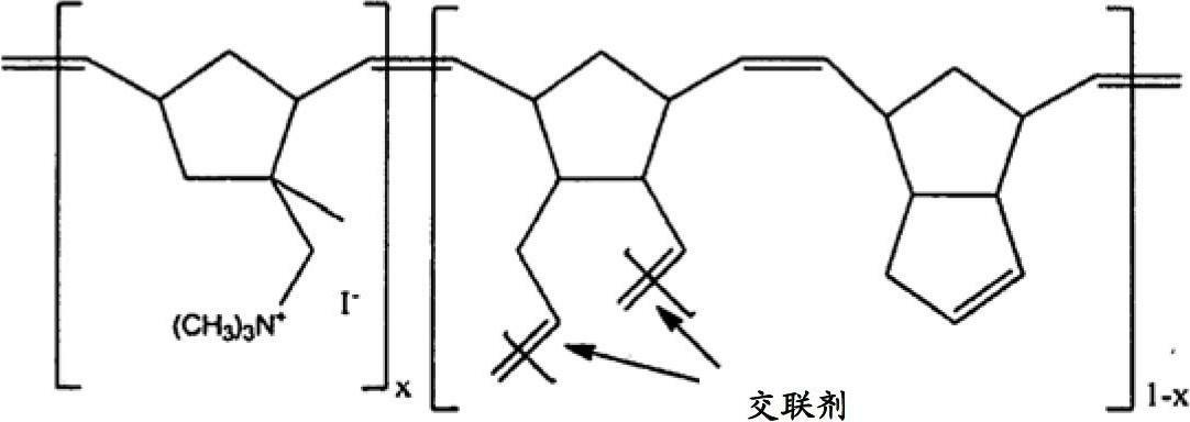 Norbornene-type polymers having quaternary ammonium functionality