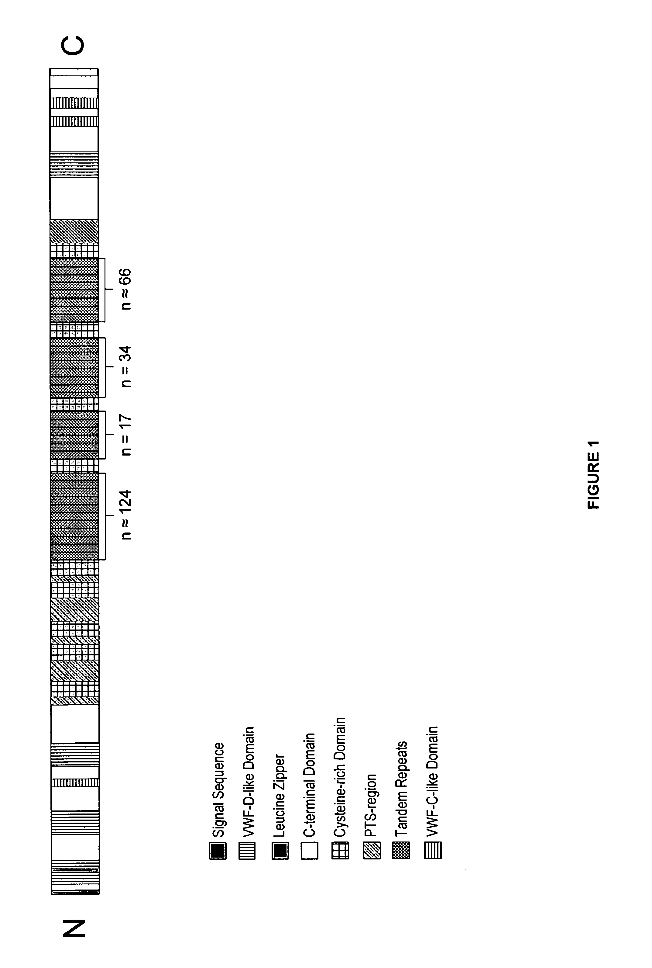 Colon and pancreas cancer specific antigens and antibodies