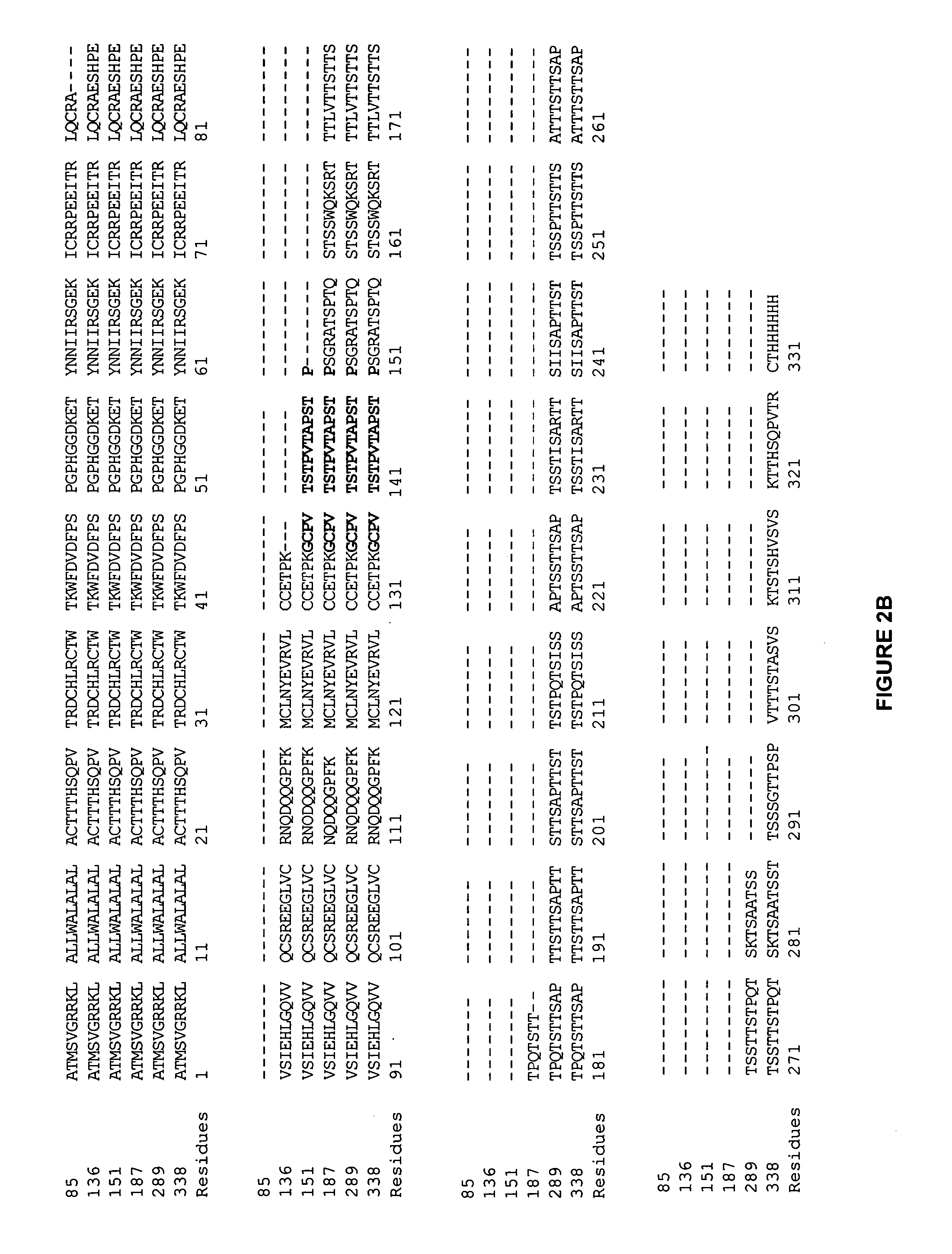 Colon and pancreas cancer specific antigens and antibodies