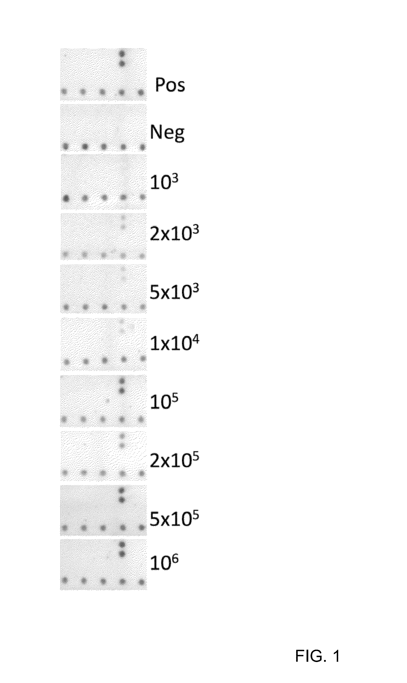 Highly simplified lateral flow-based nucleic acid sample preparation and passive fluid flow control