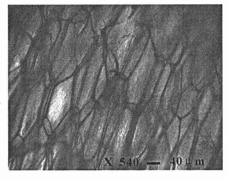 High foaming-ratio and high-density polyethylene microporous foaming section bar and its preparation method