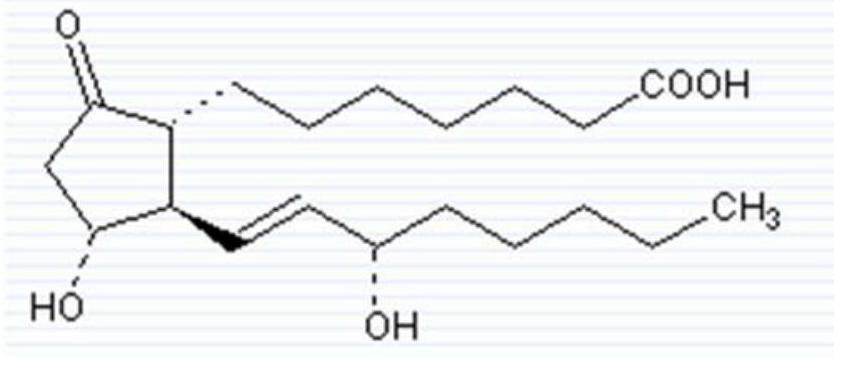 A kind of preparation method of alprostadil injection