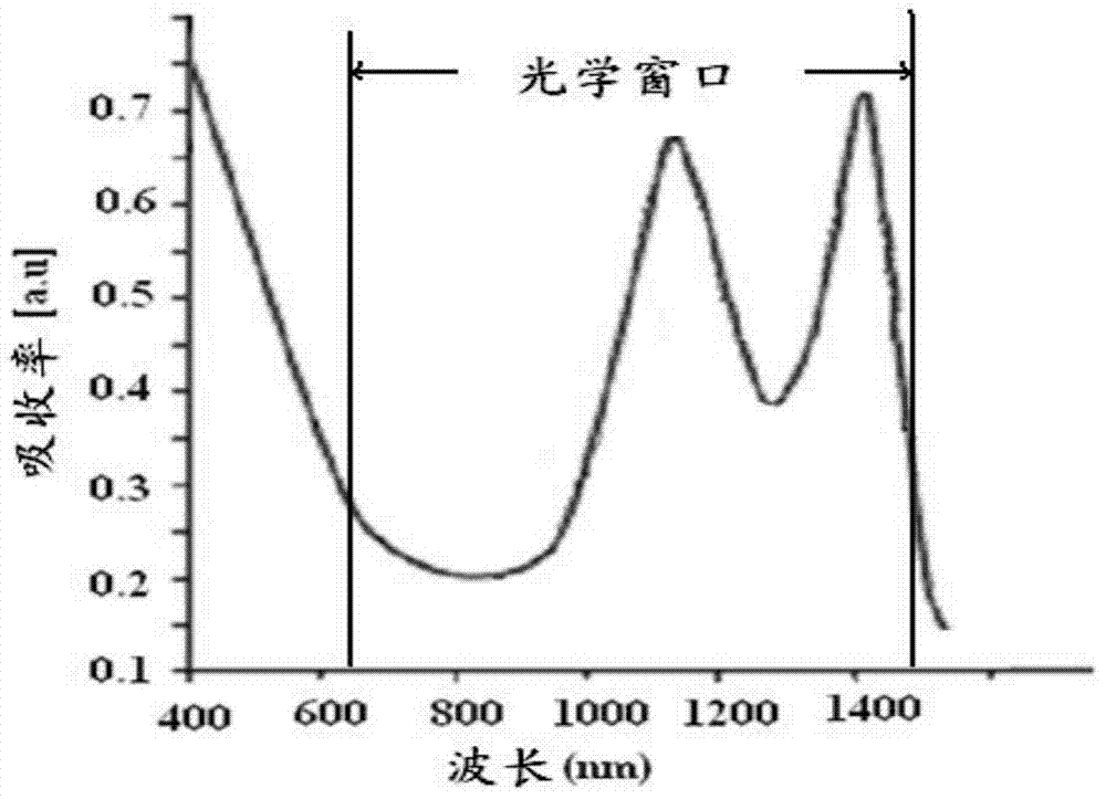 Targeted mesoporous molecular imaging probe and preparation method thereof