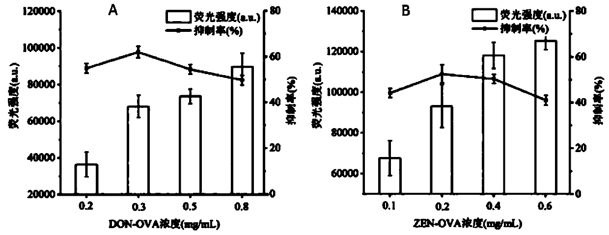 Zearalenone-vomitoxin double-channel immune quantitative test strip