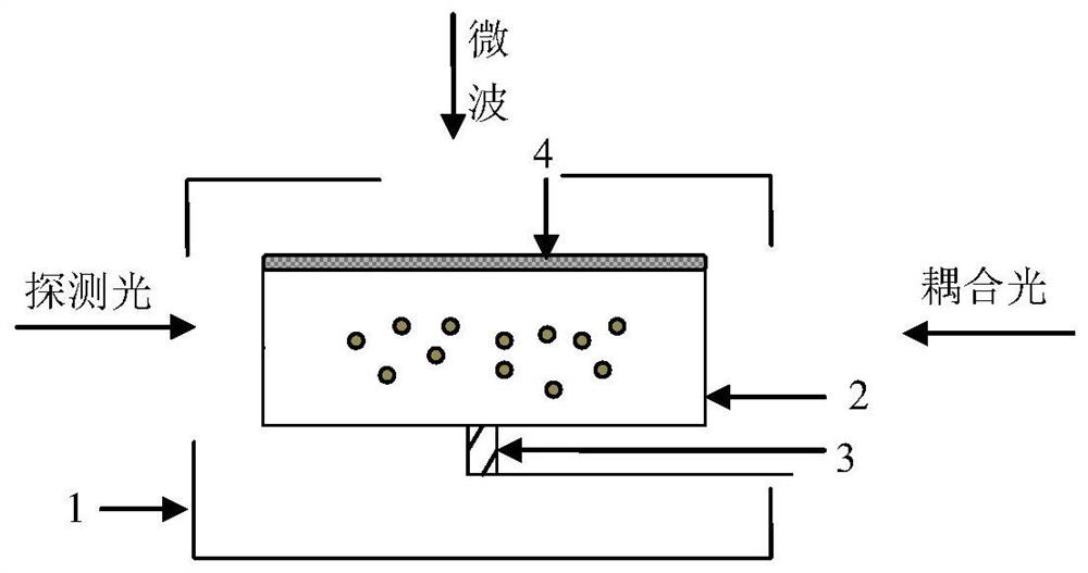 Quantum power detection module