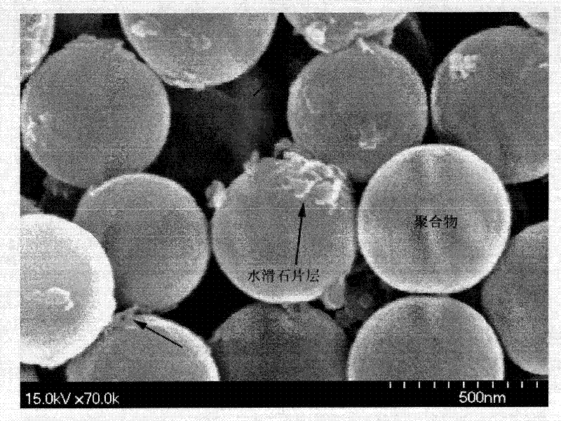 Method for preparing polymer/houghite nano composite material