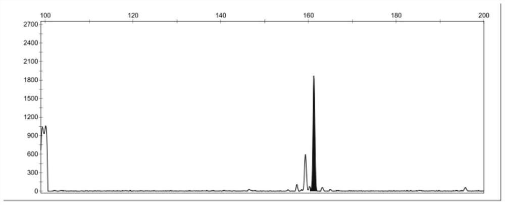 Kit and method for family division and paternity identification of domestic pigs