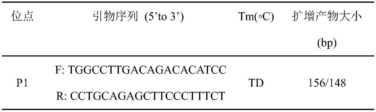 Detection method for insertion/ deletion polymorphism of sheep CHCHD 7 gene and application thereof