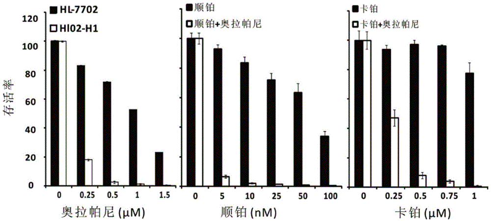 New application of multi-poly ADP RNA polymerase inhibitor in treating HBV-related diseases