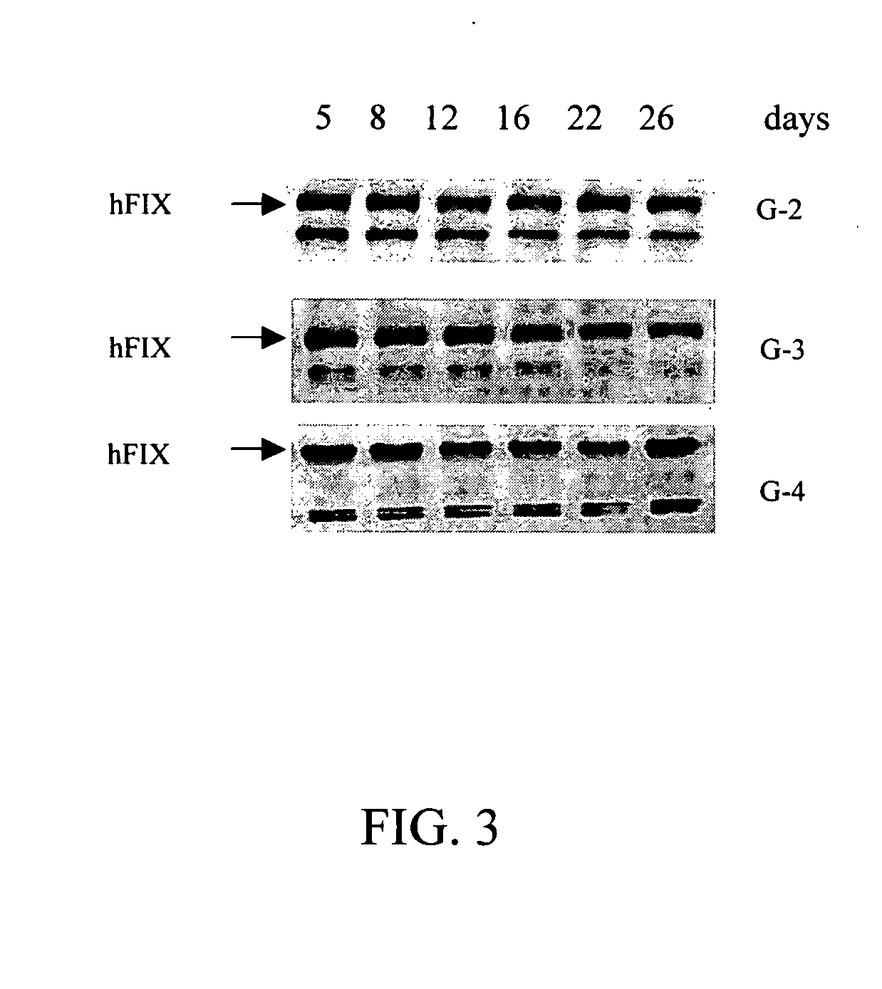 Method for expressing multiple recombinant proteins in milk of transgenic non-human mammals