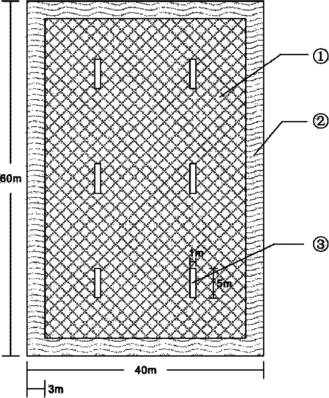 Ecological paddy-field soft-shelled turtle culture method