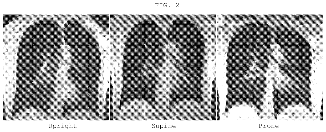 Method and system for performing upright magnetic resonance imaging of various anatomical and physiological conditions