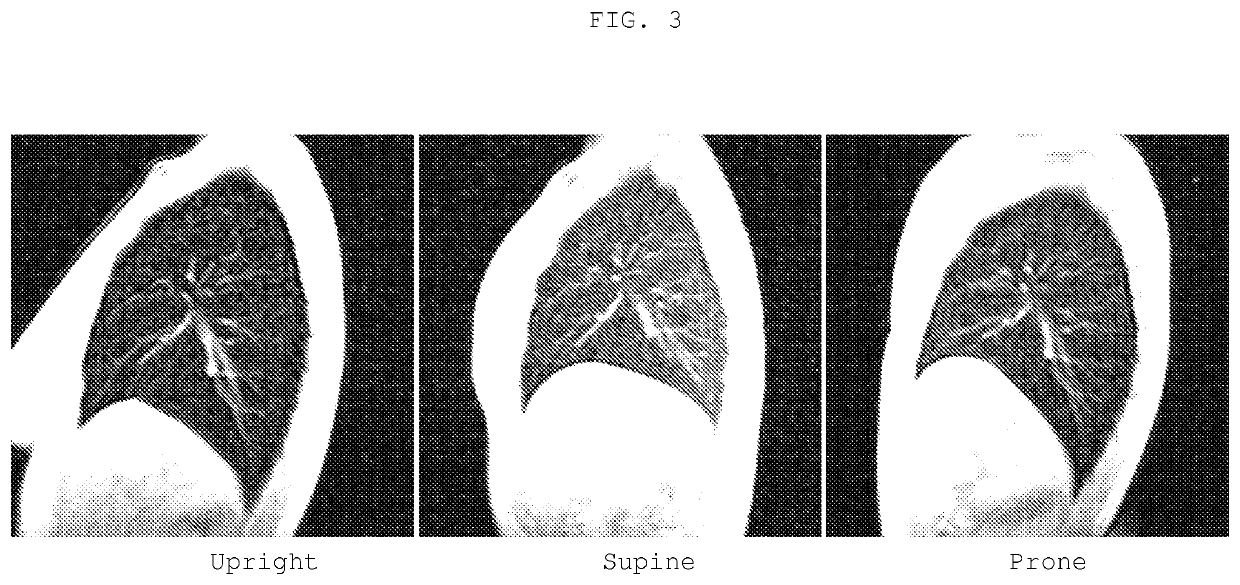 Method and system for performing upright magnetic resonance imaging of various anatomical and physiological conditions