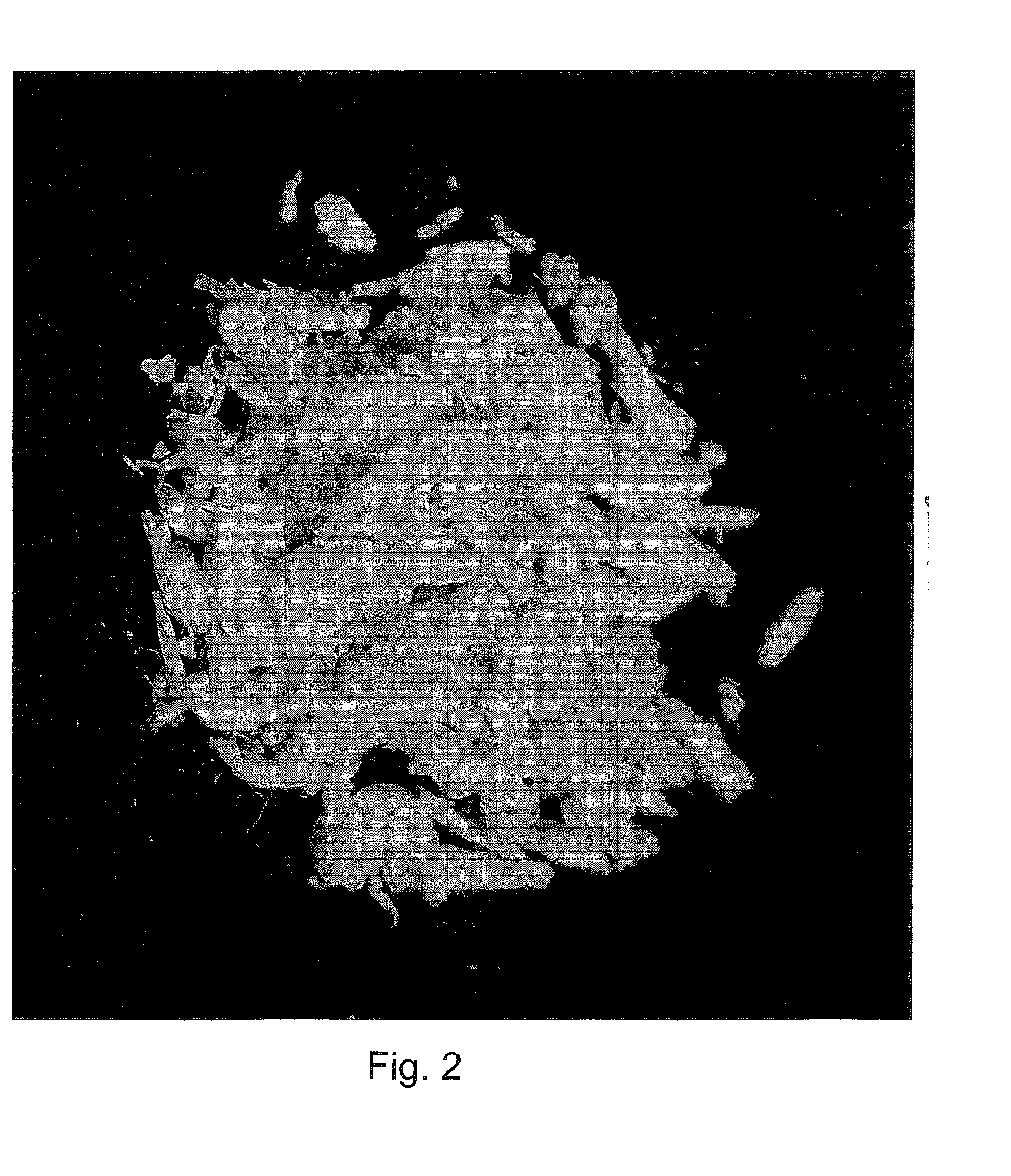 Process for production of omega-3 rich marine phospholipids from krill