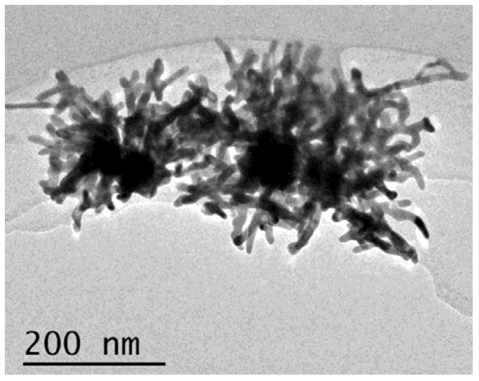 Surface reinforced Raman scattering detection adhesive tape and preparation method and application thereof