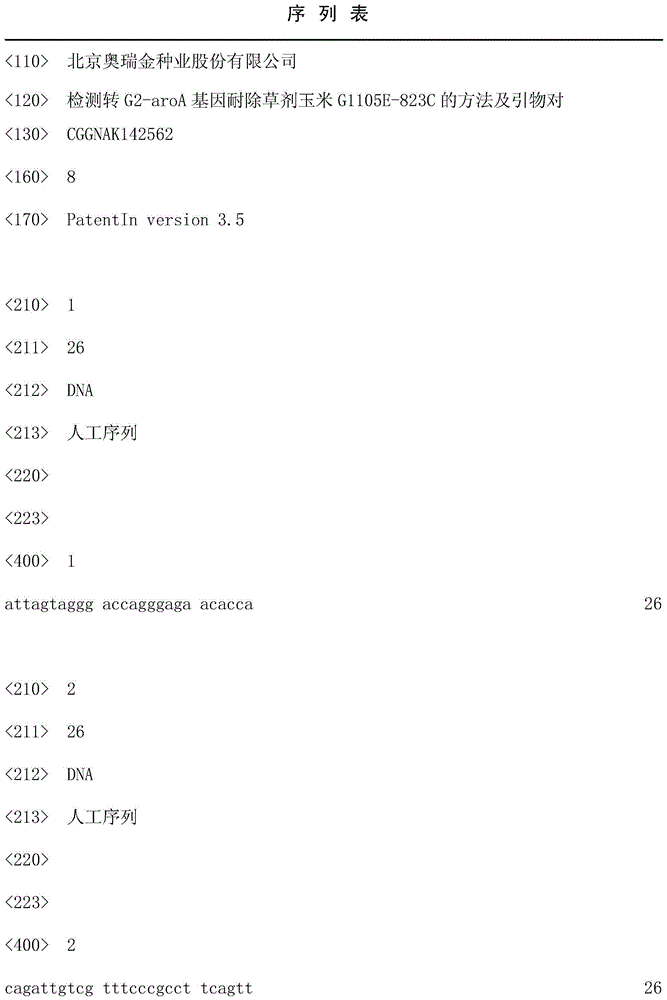 Method and primer pair for detecting transgenic G2-aroA gene herbicide-resisting corn G1105E-823C
