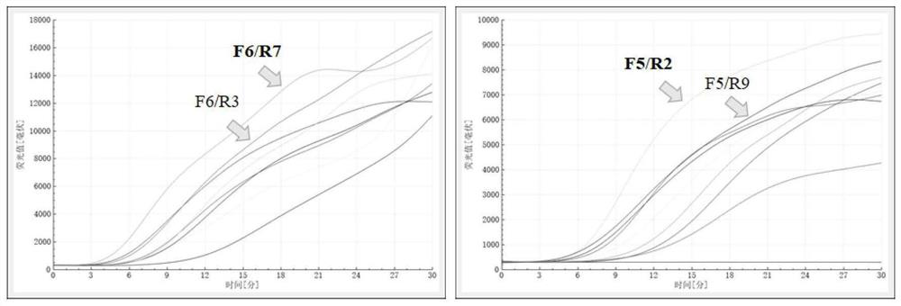 Primer pair, probe and kit for detecting African swine fever virus and application of primer pair, probe and kit