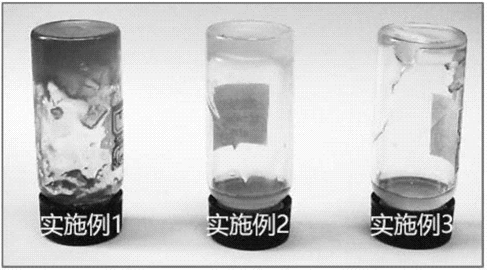 Inorganic nano particle filler for solid state electrolyte and preparation method of inorganic nano particle filler