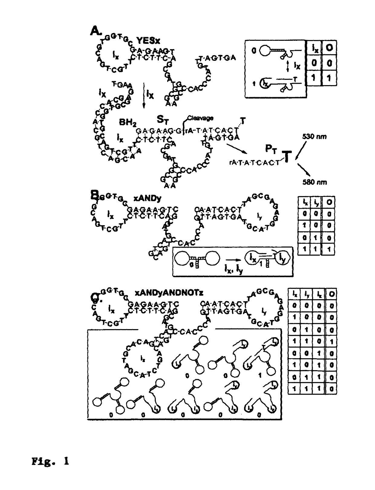 Medium scale integration of molecular logic gates in an automaton