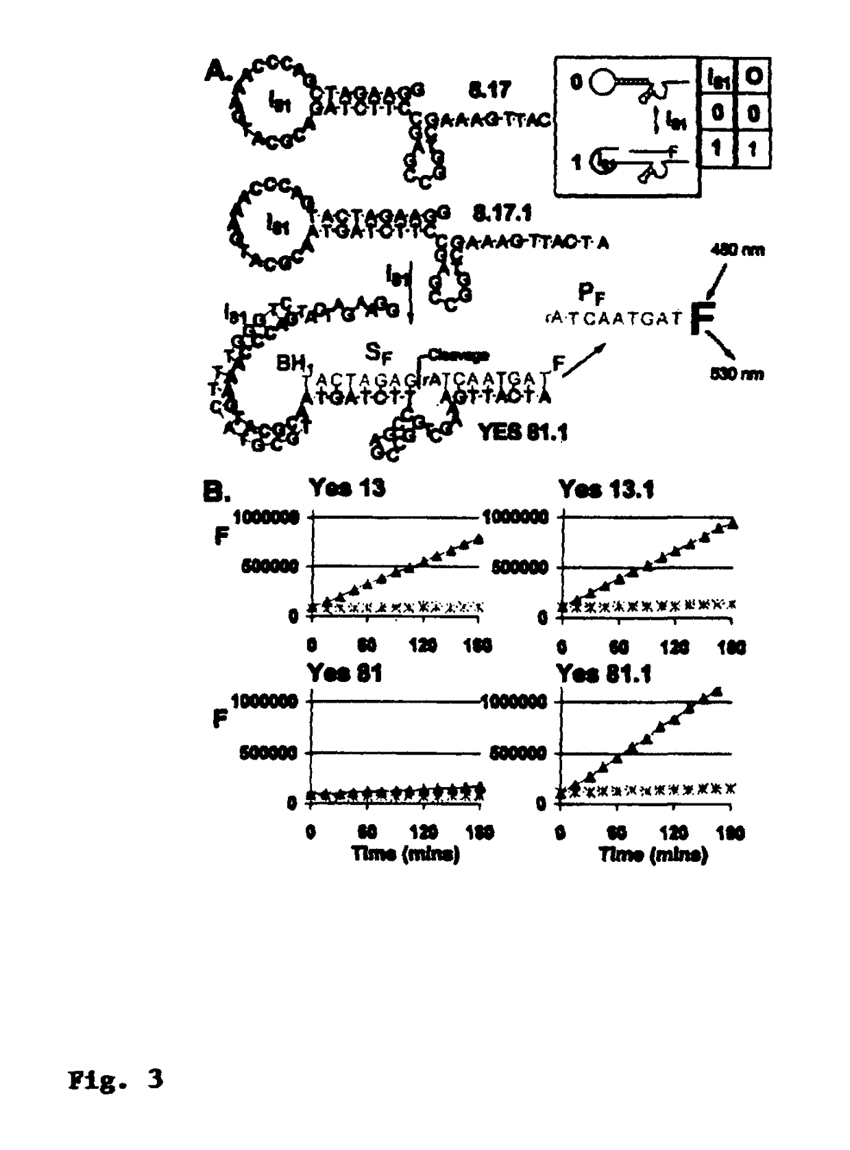 Medium scale integration of molecular logic gates in an automaton