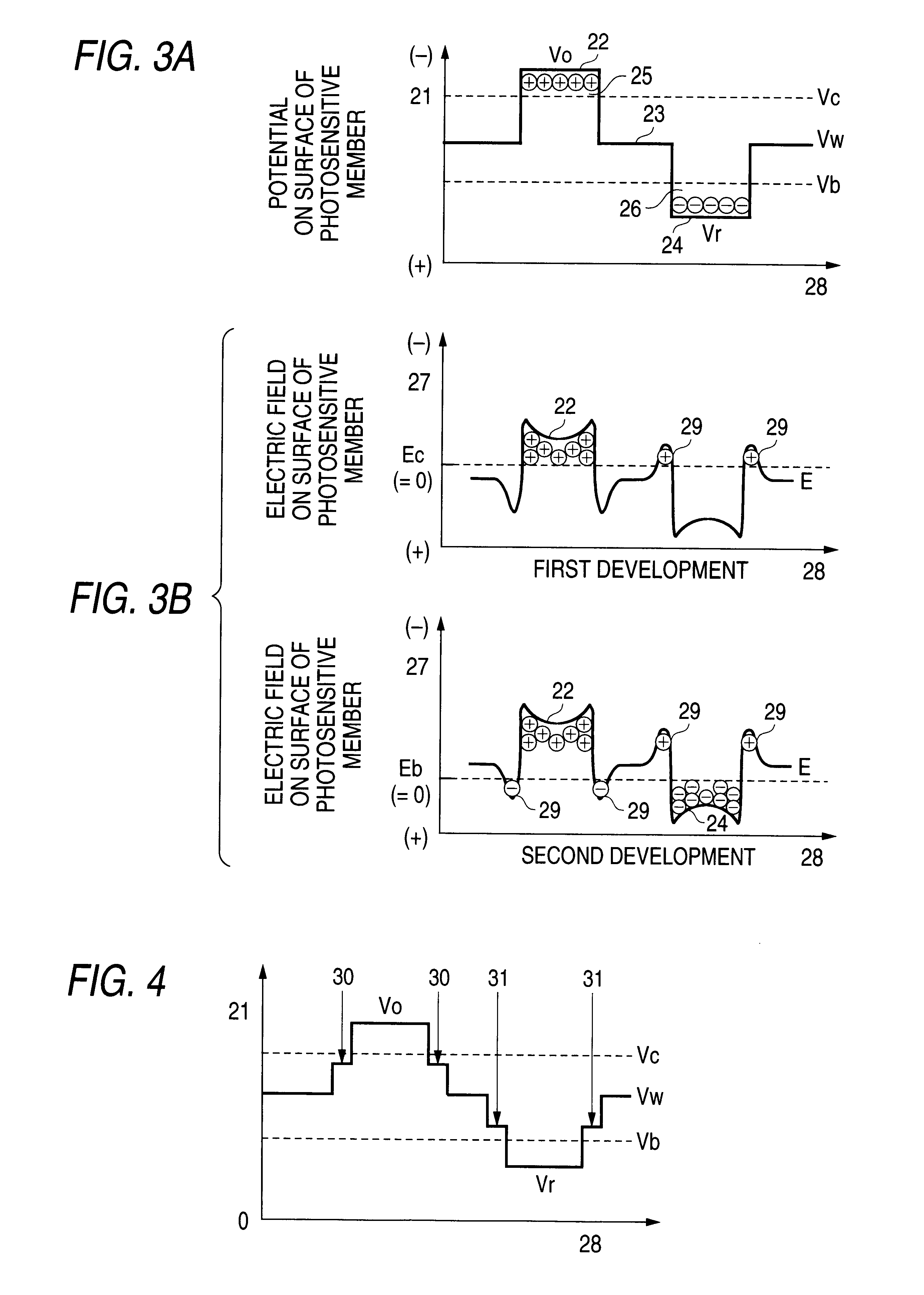 Electrophotographic apparatus having a fringe development preventing mechanism