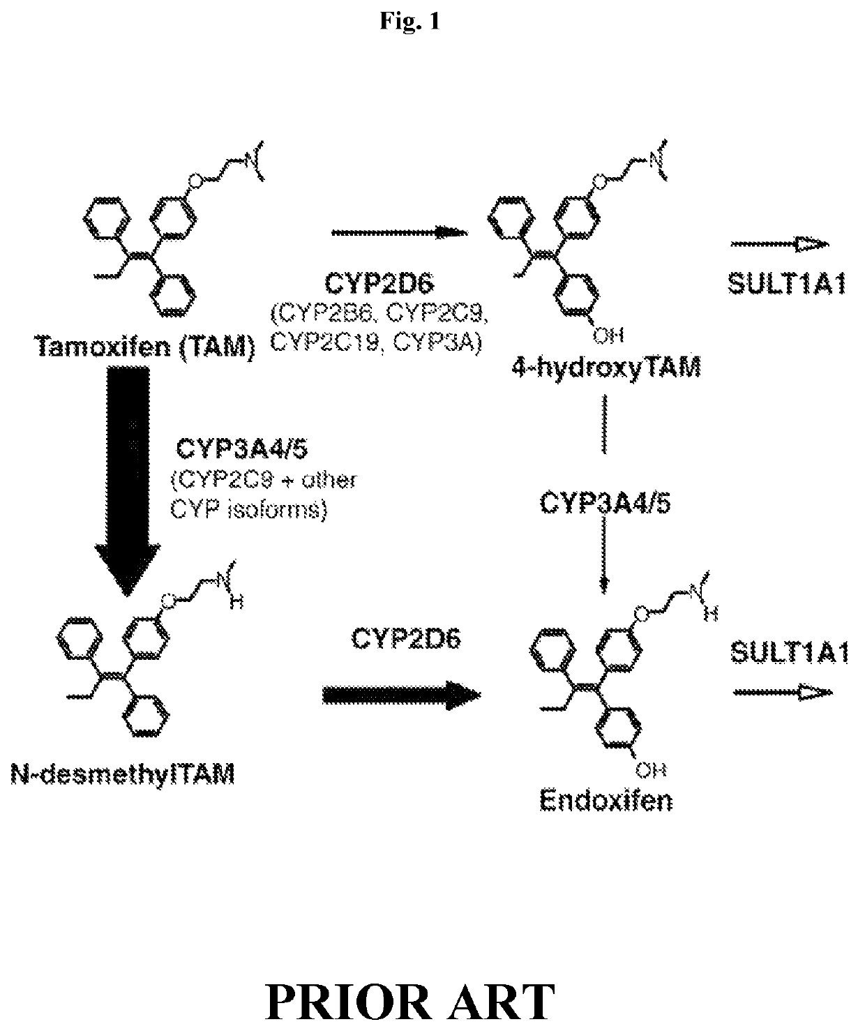 Methods for making and using endoxifen