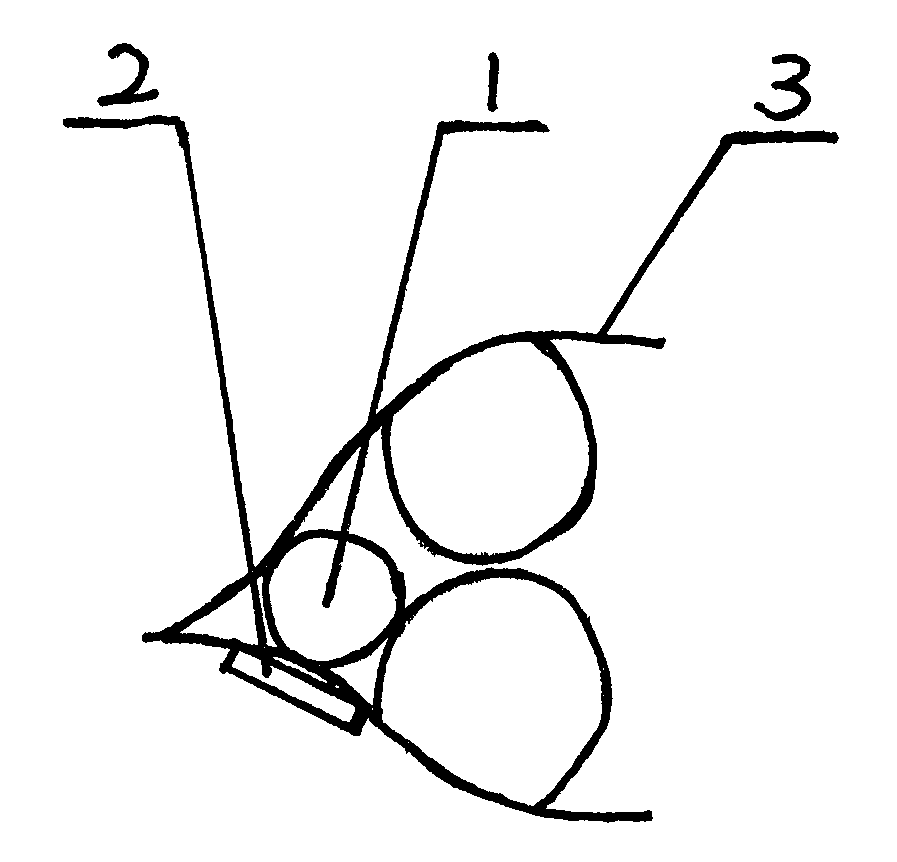 Method for culturing nucleated pearls by using magnetic attraction fixed pearl nucleuses