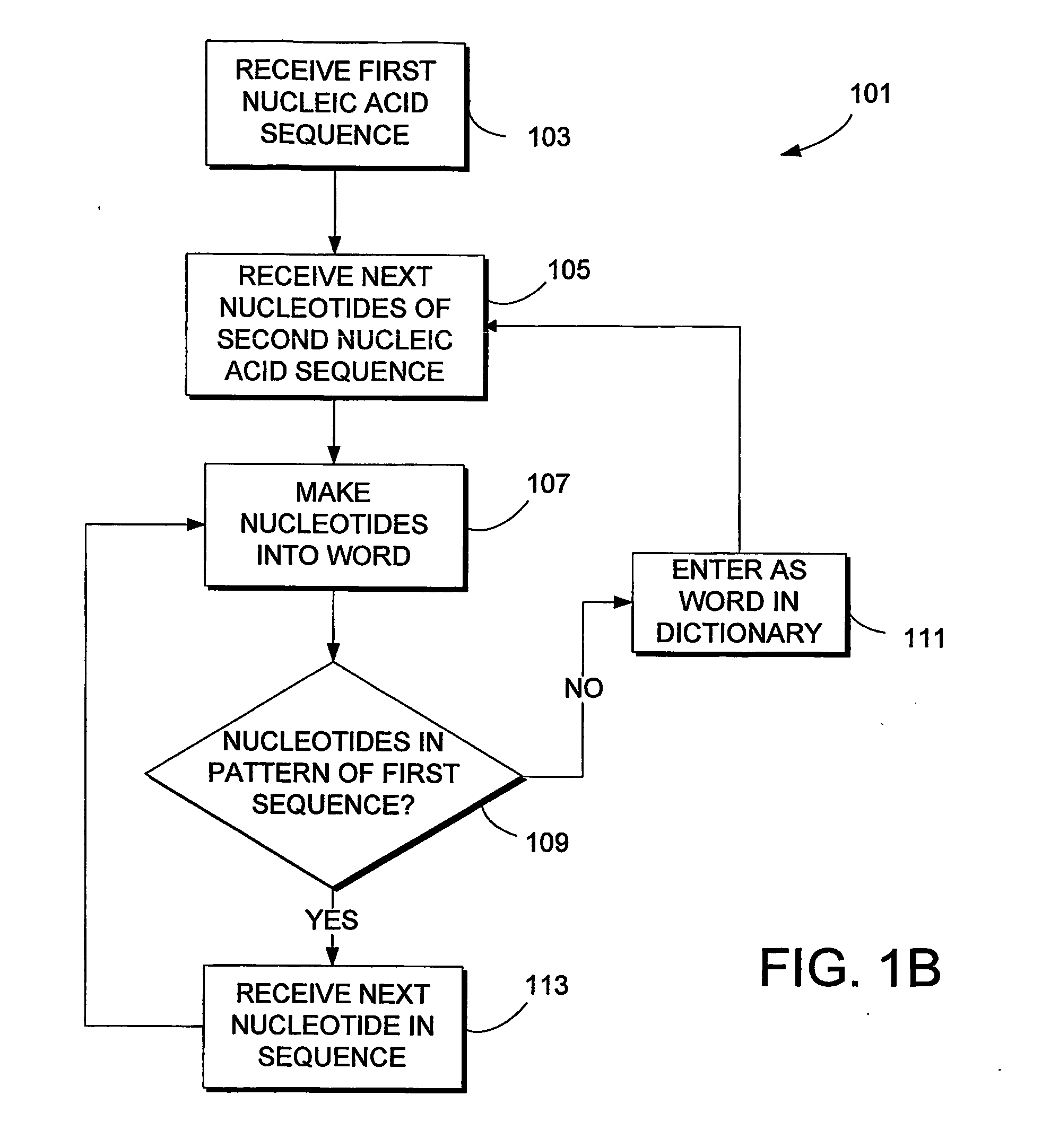 System and Method for Sequence Distance Measure for Phylogenetic Tree Construction